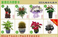 馨源花卉公司 專業(yè)北京禮品花卉與禮品卡一站式供應